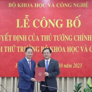 Cơ cấu tổ chức