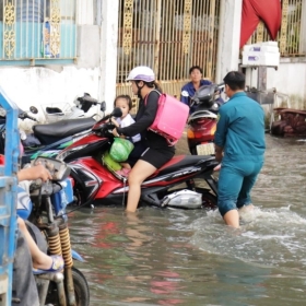 Dự báo thủy triều, mực nước sông chính KV NB